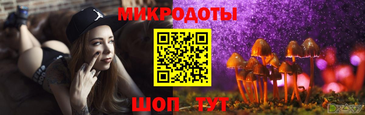 Выкса  Галлюциногенные грибы Psilocybine cubensis  Псилоцибиновые грибы GOLDEN TEACHER  Вход с VPN 